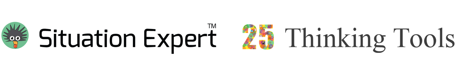 Situation experts 25 thinking tools logo resized