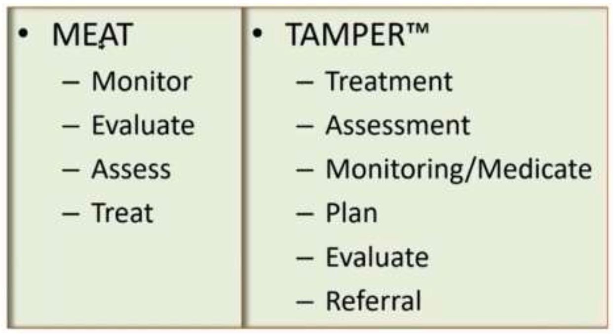 Chapter 3 risk adjustment models  language and too
