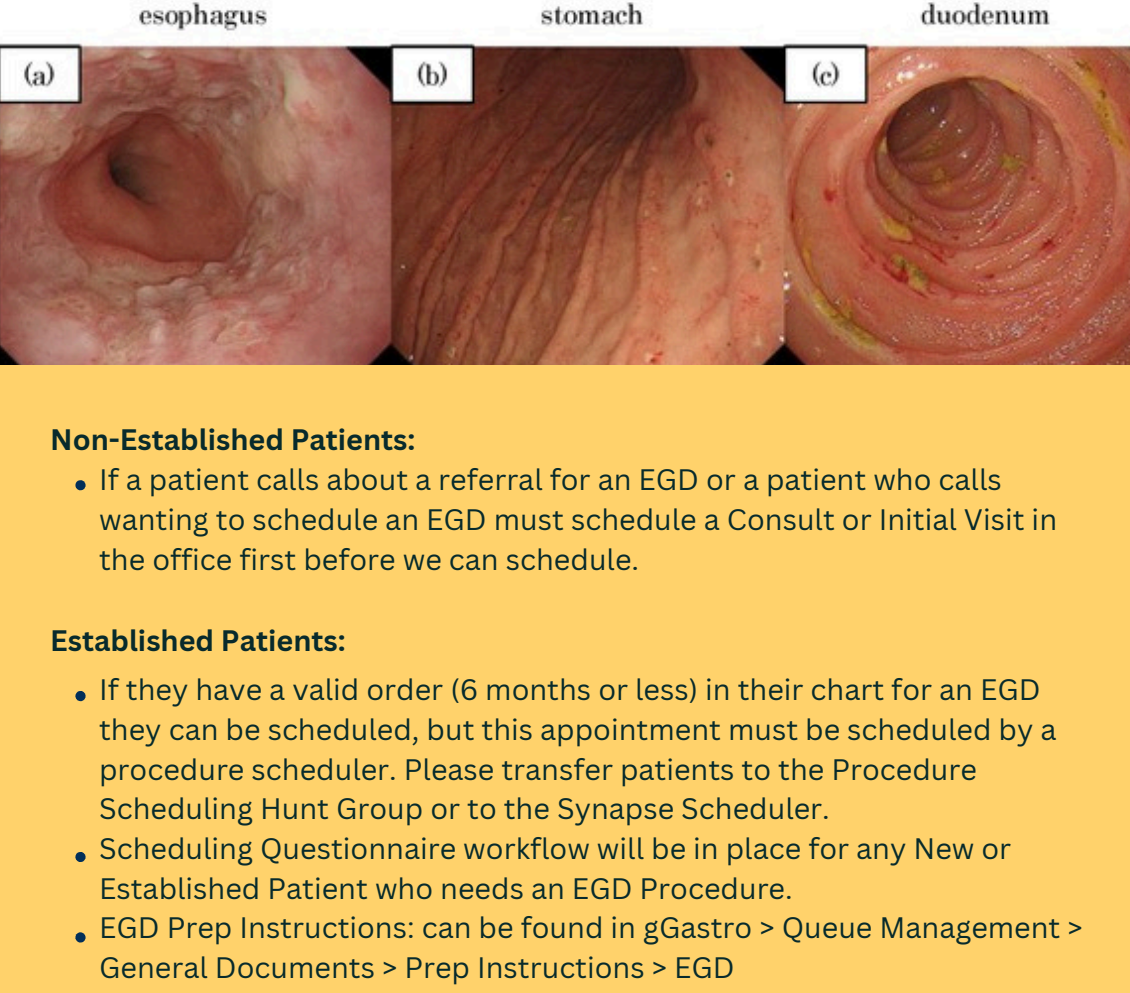 Center procedures egd