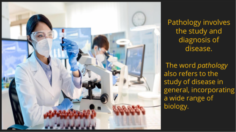 Introduction to pathology test   zoom profile cover 2024 07 01 13 17 51