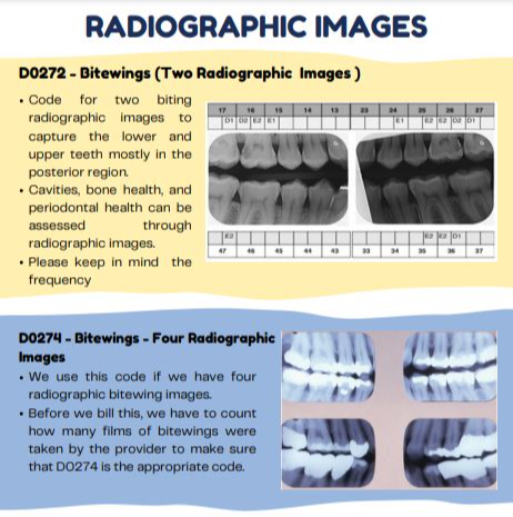 Xray front