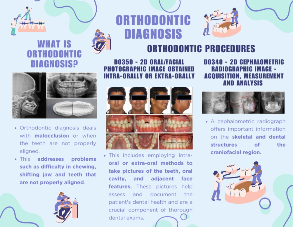 Ortho